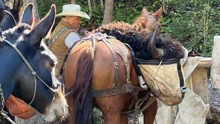 Jacob Boone’s Buffalo Hunt Utah Book Cliffs Sep 2022