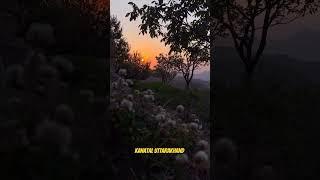 Kanatal Uttarakhand - A random perfect evening with Satyam Gupta Vlogs #travel #dehraduntouristplace