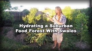 Permaculture Tip of the Day - Hydrating a Suburban Food Forest With Swales