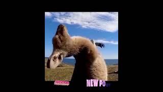 شيرين ونور ونارين وسيدرا و بنين كتير يضحكون #اكسبلور #نارينبيوتي #funny #شلتنا