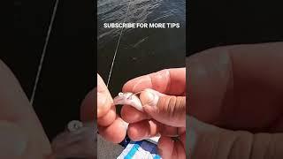 How I Hook My Minnows For Crappie Fishing #shorts