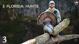 FLORIDA LONGBEARD COMING IN HOT | 3 Hunts | Last Second Success in the Southern Turkey Woods