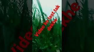 #viral #shorts #funny #short #fun #video #devbrat #ytshorts #happy #shortsfeed #comedy #2023