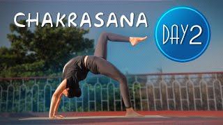 Day 2 of 7 days Chakrasana Practice | Yoga For Beginners