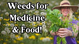 Grow These 4 Useful Weeds on the Homestead for Medicine & Food