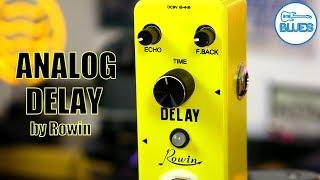 Rowin LEF-314 Analog Delay Pedal