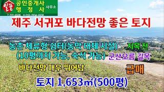 제주 서귀포 바다전망 좋은 토지 매매