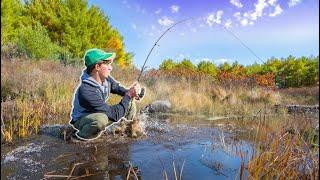 BACKWOODS Fishing Mission on a REMOTE CREEK! (Chasing AGGRESSIVE Fish)