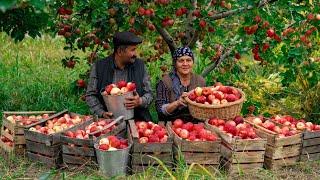 The Apple Jam in Azerbaijan: Discover The Real Preparation