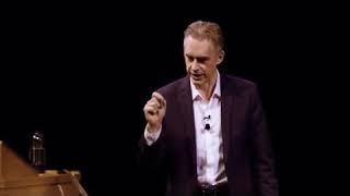 Jordan Peterson on Betrayal and Trust Loss