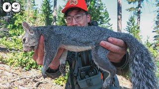 Gray Squirrel Hunting (Annual Family Squirrel Camp)