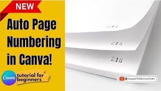 New Feature! How to add Page Numbers in Canva Tutorial for beginners step by step