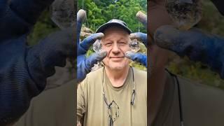 How Herkimer Diamonds Mining Process Works #shorts #crystals #diamond
