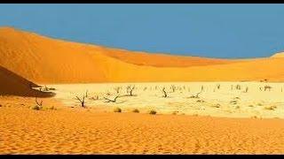 Desert Documentary HD - Kalahari Desert Wildlife Documentary