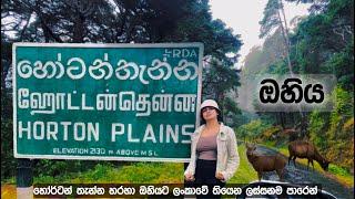 Exploring Ohiya & Horton Plains | A Scenic Journey From Nuwara Eliya | Horton Plains , SriLanka