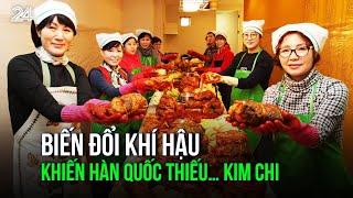 Biến đổi khí hậu khiến Hàn Quốc thiếu… kim chi  | VTV24