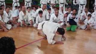 Yahara Sensei - Kata Unsu