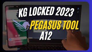 Unlock KG locked Samsung A12 Bypass 2023 || Pegasus Tool