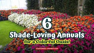 Top 6 Shade-Loving Annuals for a Colorful Oasis  // Gardening Ideas