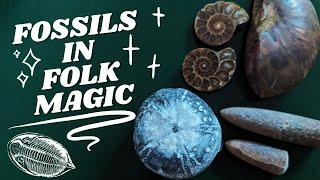 Fossils in English Folk Magic