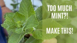 Make refreshing sun tea with your extra mint!