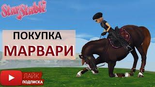 Покупка Марвари в Star Stable Online | Marwari