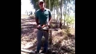 Homem nervoso quebra motoserra Stihl