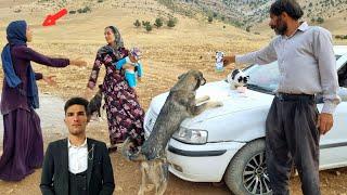 Master's effort to save the animals of Engineer Afshin, and take food for them 