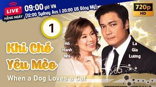 TVB Khi Chó Yêu Mèo tập 1/20 | tiếng Việt | La Gia Lương, Hồ Hạnh Nhi, Liêu Bích Nhi | TVB 2008