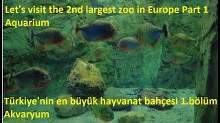 Let's visit the 2nd largest zoo in Europe Part 1 Aquarium Turkey Gaziantep hayvanat bahçesi Türkiye