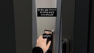 11/15 분리불안 없는 강아지가 맞이해주는 퇴근길 #웰시코기 #분리불안 #corgipuppy