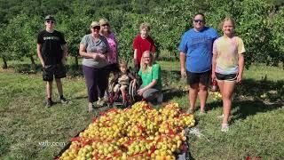 Crop Gleaning in Virginia