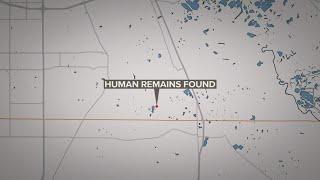 Dallas County Sheriff's Office investigating human remains found