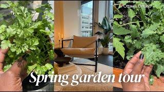 3m² EDIBLE BALCONY GARDEN TOUR | Grow Vegetables & Herbs in Containers | Spring Routine 