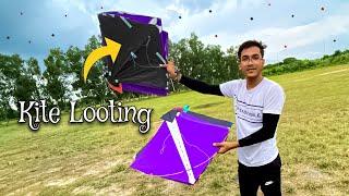 Kite Looting From Ground | पतंग लूटी  | Patang Hi Patang #kitelooting