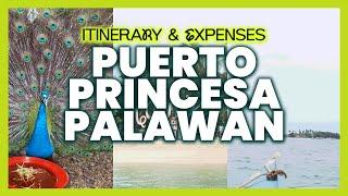 Puerto Princesa Palawan Itinerary & Expenses Breakdown 2024