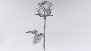 Rose flower drawing || Easy Rose drawing tutorial step by step for beginners