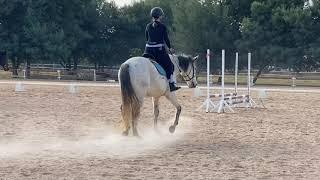 My first time falling off a horse | attempting to canter