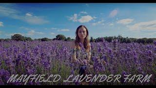 A DAY TRIP TO MAYFIELD LAVENDER FARM LONDON ENGLAND