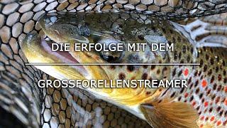 Die Erfolge mit dem Grossforellenstreamer / Fliegenfischen