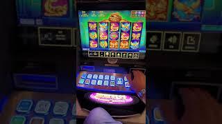 Macau Slot Machine 2021-02-09 多福多財 Bet HK$88 Free Game Quite Good