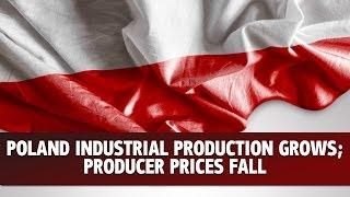 Growing Polish Production