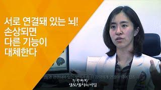 서로 연결돼 있는 뇌! 손상되면 다른 기능이 대체한다 - (2016.11.16_600회 방송)_뇌의 기적 - 제 1편 회복