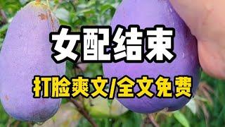 书名《女配结束》