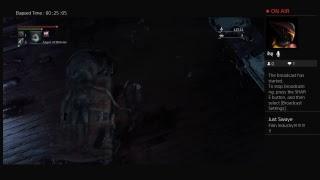 Nzp1138's livestream of Bloodborne