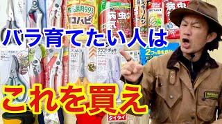 バラ初心者は絶対に持っておいて下さい　【カーメン君】【園芸】【ガーデニング】【初心者】【バラ】