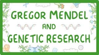 GCSE Biology - Gregor Mendel and the History of Genetics #76