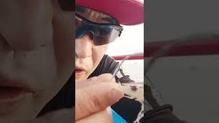 [농어낚시] 새우미끼는 이렇게 끼우세요.뿔걸이