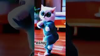 super dance cat ka #shortclips #super #shortclips #funny #cat #cats