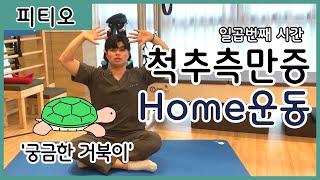 [척추측만증교정 홈운동 일곱번째] ‘Curious Turtle’ 피티오와 함께 건강한 척추관리